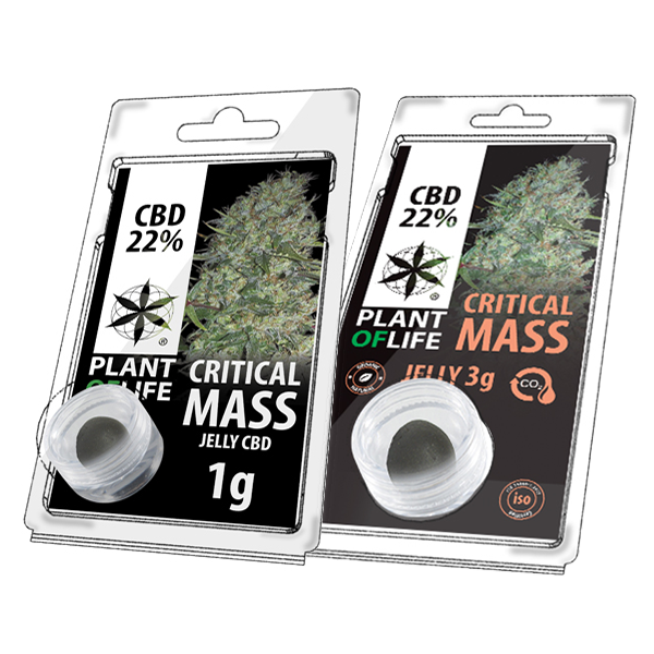 critical mass, 22% CBD, cbd plant of life, jelly