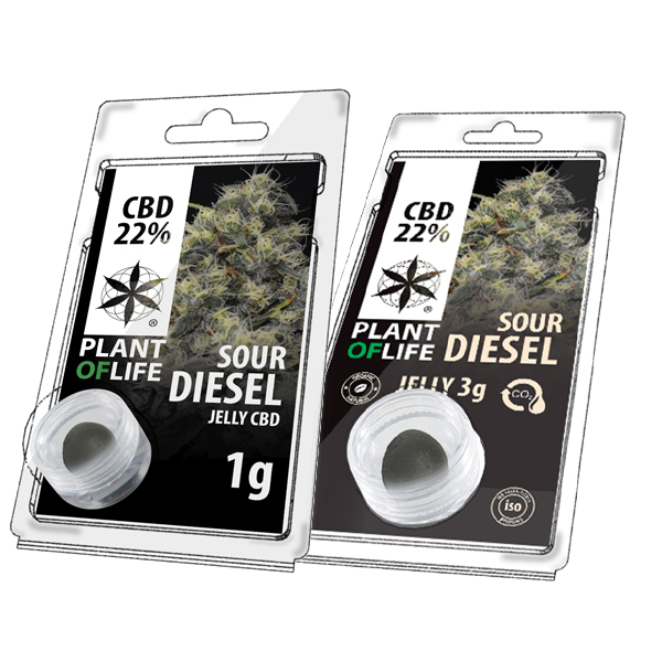 sour diesel, jelly, plant of life, cbd, 22% CBD