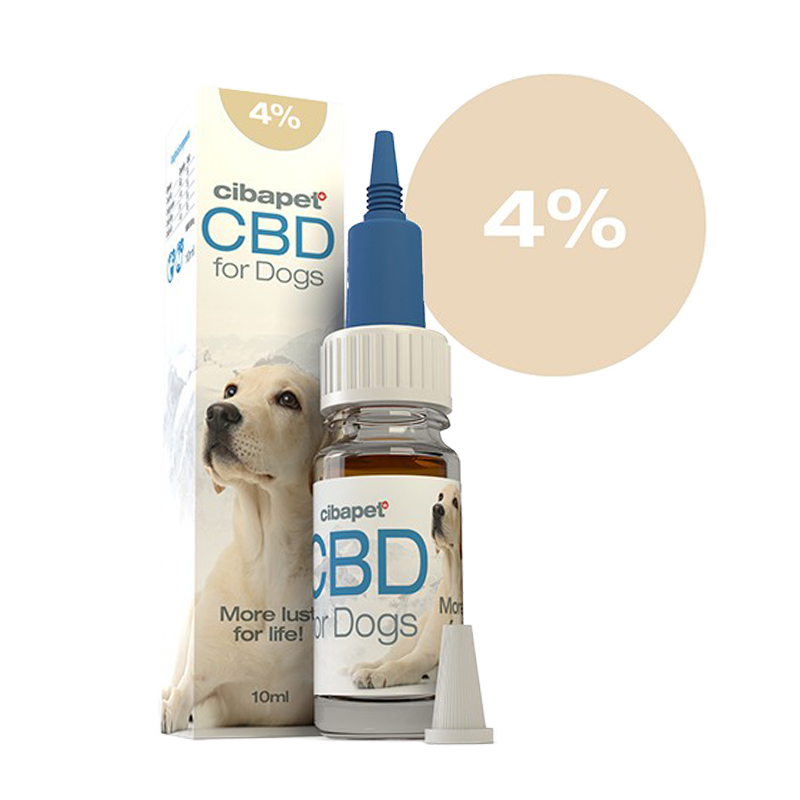 huile de cbd-4%CBD-pour chiens-Cibapet-chien stressé-chien anxieux