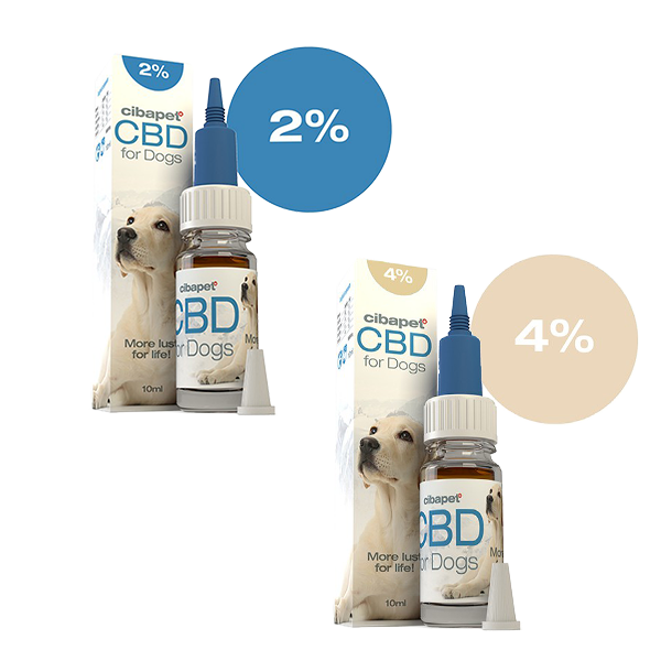 huile de cbd-chiens-animal de compagnie-inconfort-stress-douleur chien