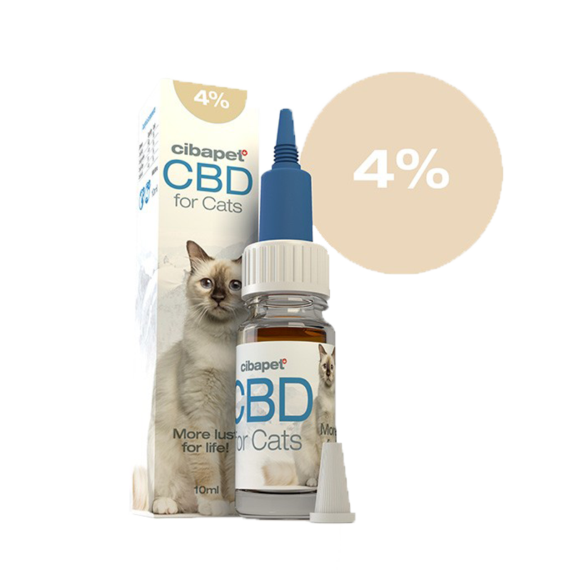 huile-de-cbd-pour-chats-4
