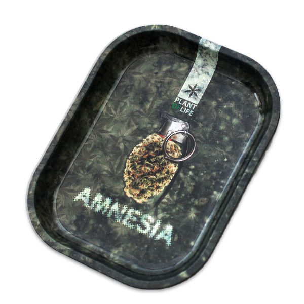 plateau-amnesia-symbols-plant-of-life