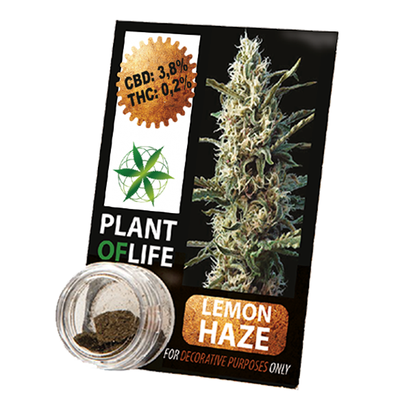 compress-lemon-haze-plant-of-life