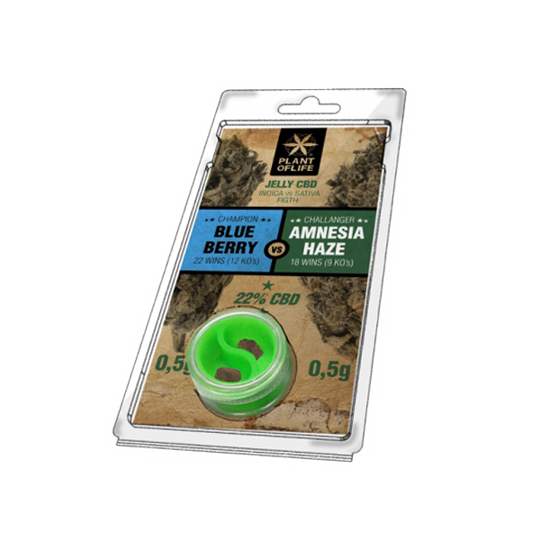 blueberry- amnesia haze - jelly - 22% CBD- plant of life